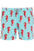 Sea Horse