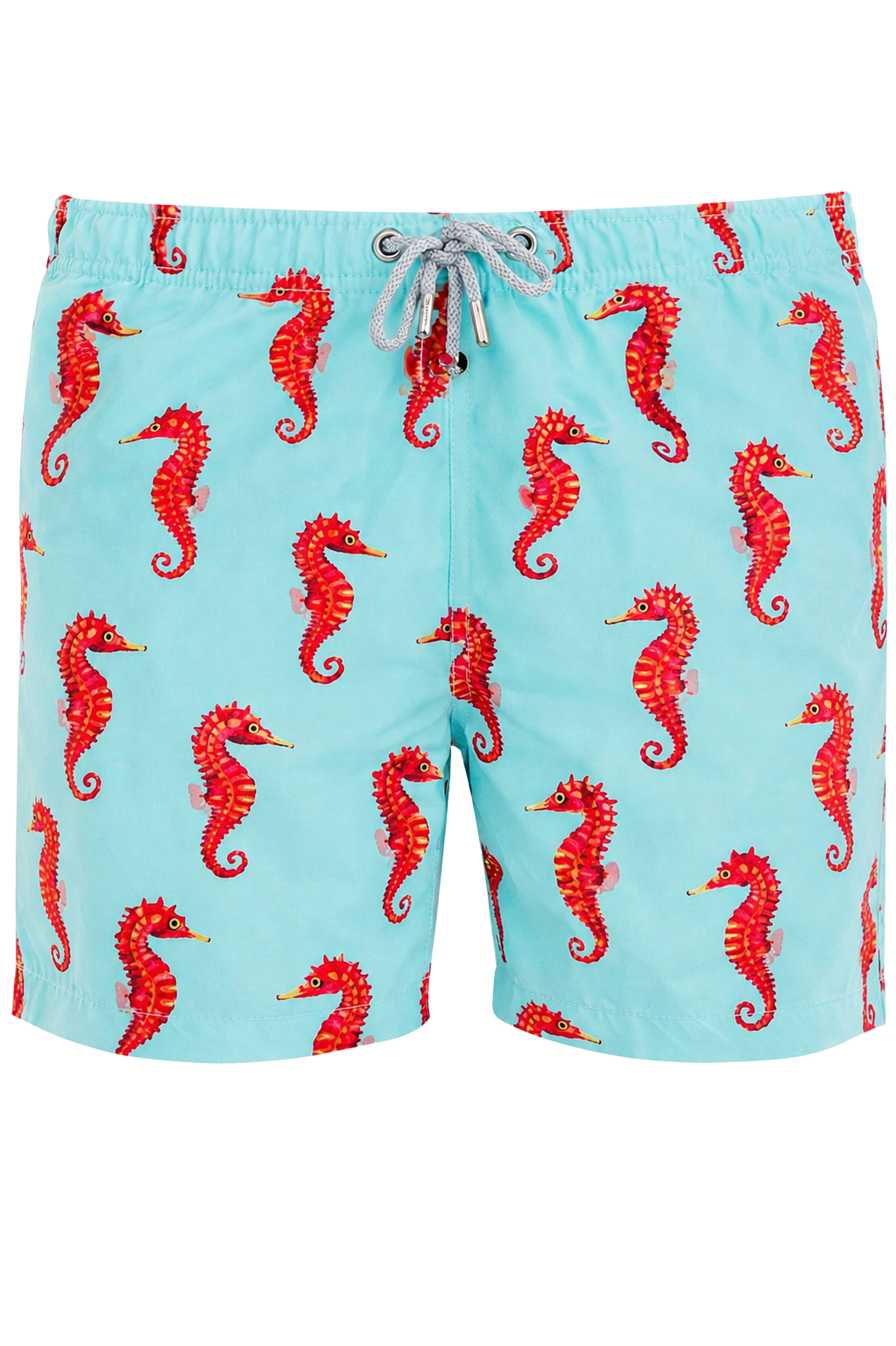 Sea Horse