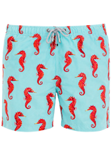 Sea Horse