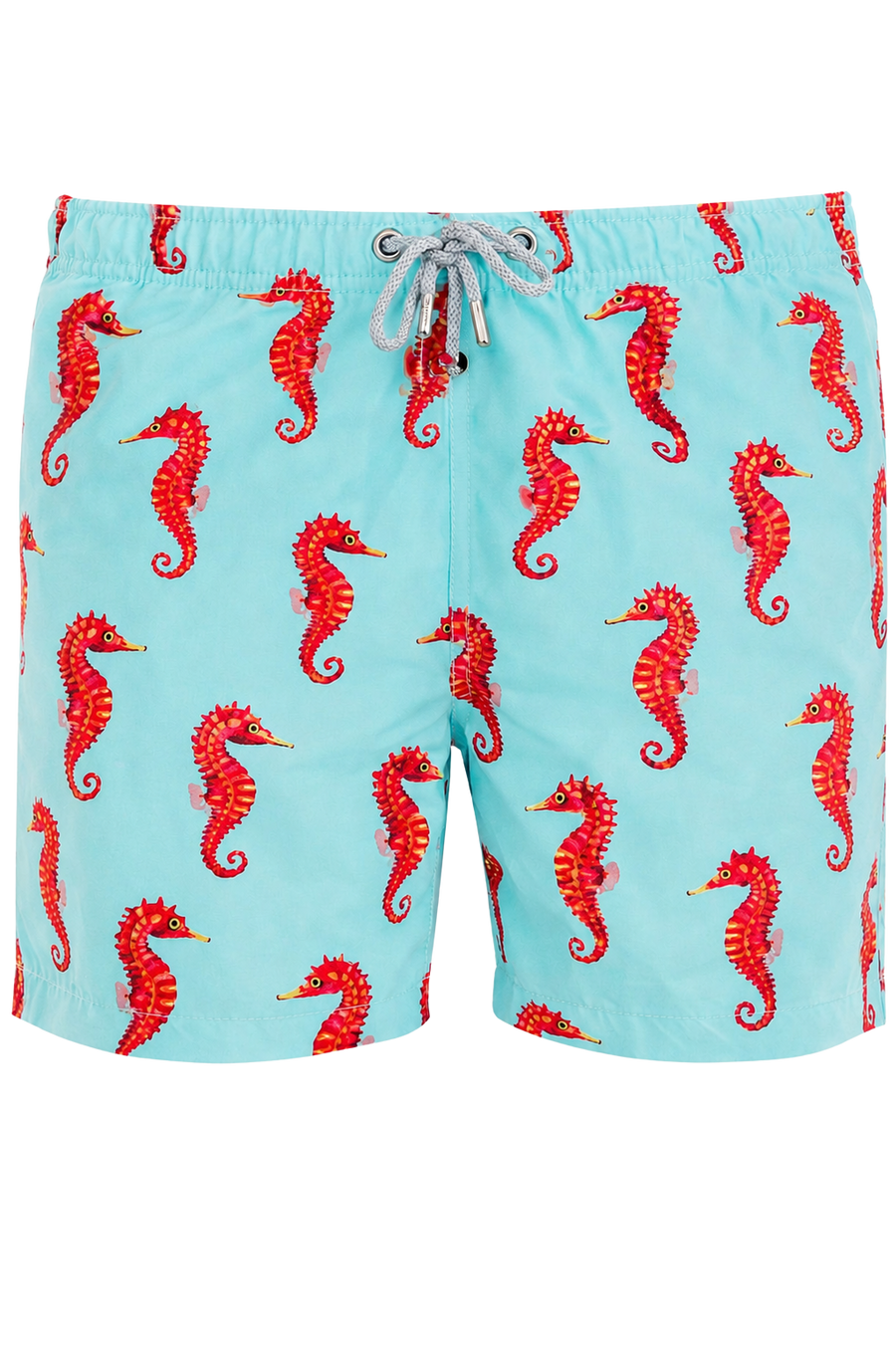 Sea Horse